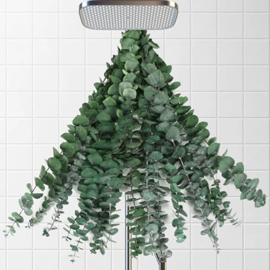 Suszone gałązki eukaliptusa do – Home Fragrance Eucalyptus recenzja i cena