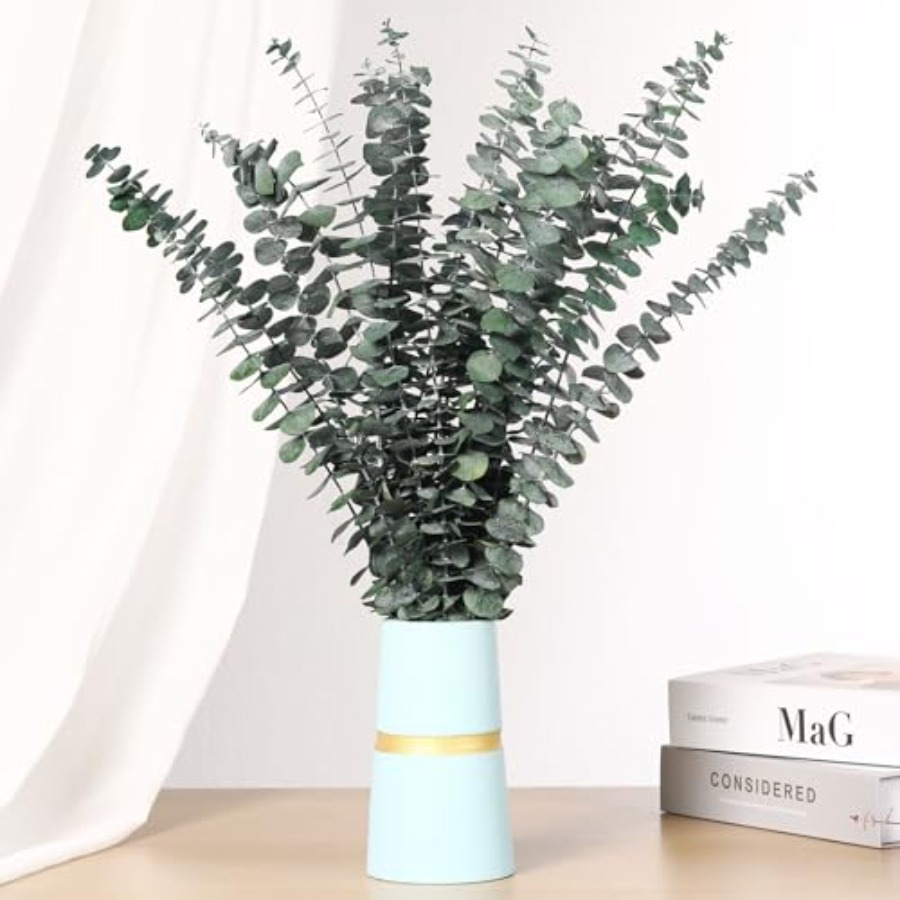 Suszone gałązki eukaliptusa do – Home Fragrance Eucalyptus recenzja i cena
