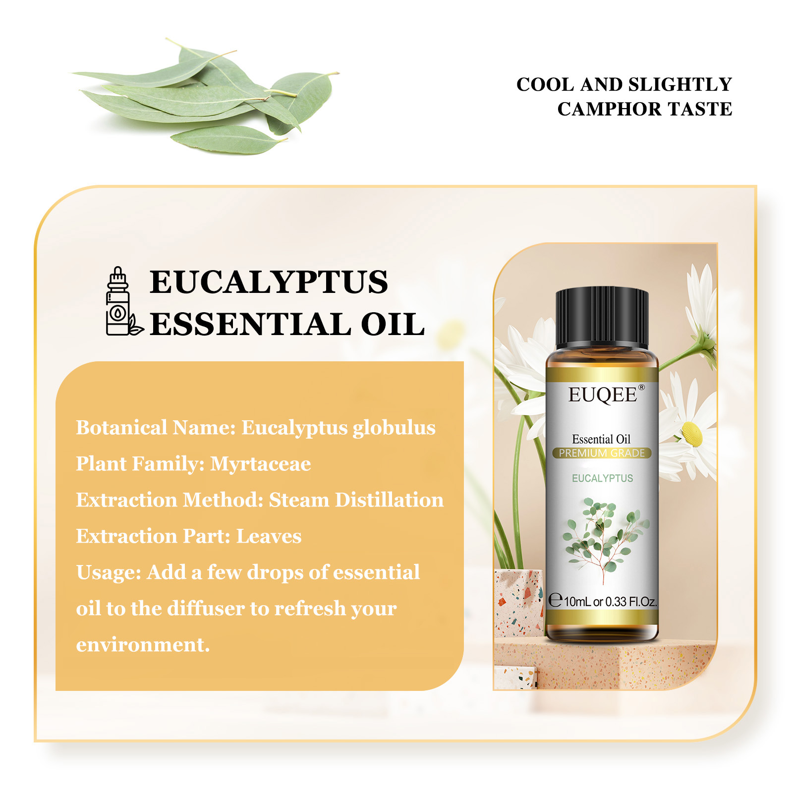 EUQEE 10ML Naturalne olejki et – Home Fragrance Eucalyptus recenzja i cena